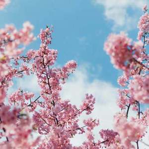 群交多p激情视频
